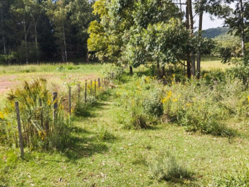 Terreno - Venda - Real - Santana do Livramento - RS